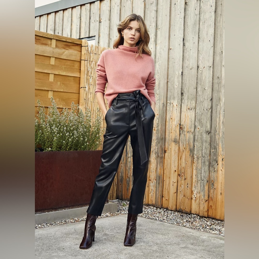 Aritzia (Wilfred) high quality vegan leather (looking like real one).